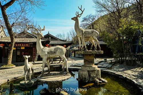 白鹿原景区最新爆料,探秘历史遗迹，体验文化盛宴  第2张